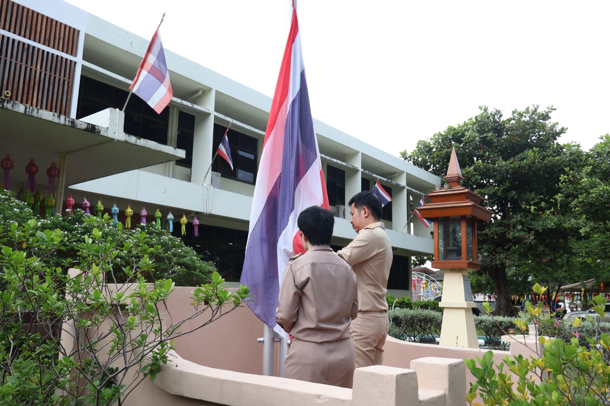 image alt 9
